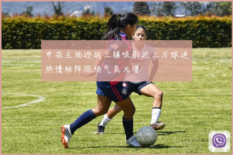 申花主场迎战三镇吸引近三万球迷热情助阵现场气氛火爆